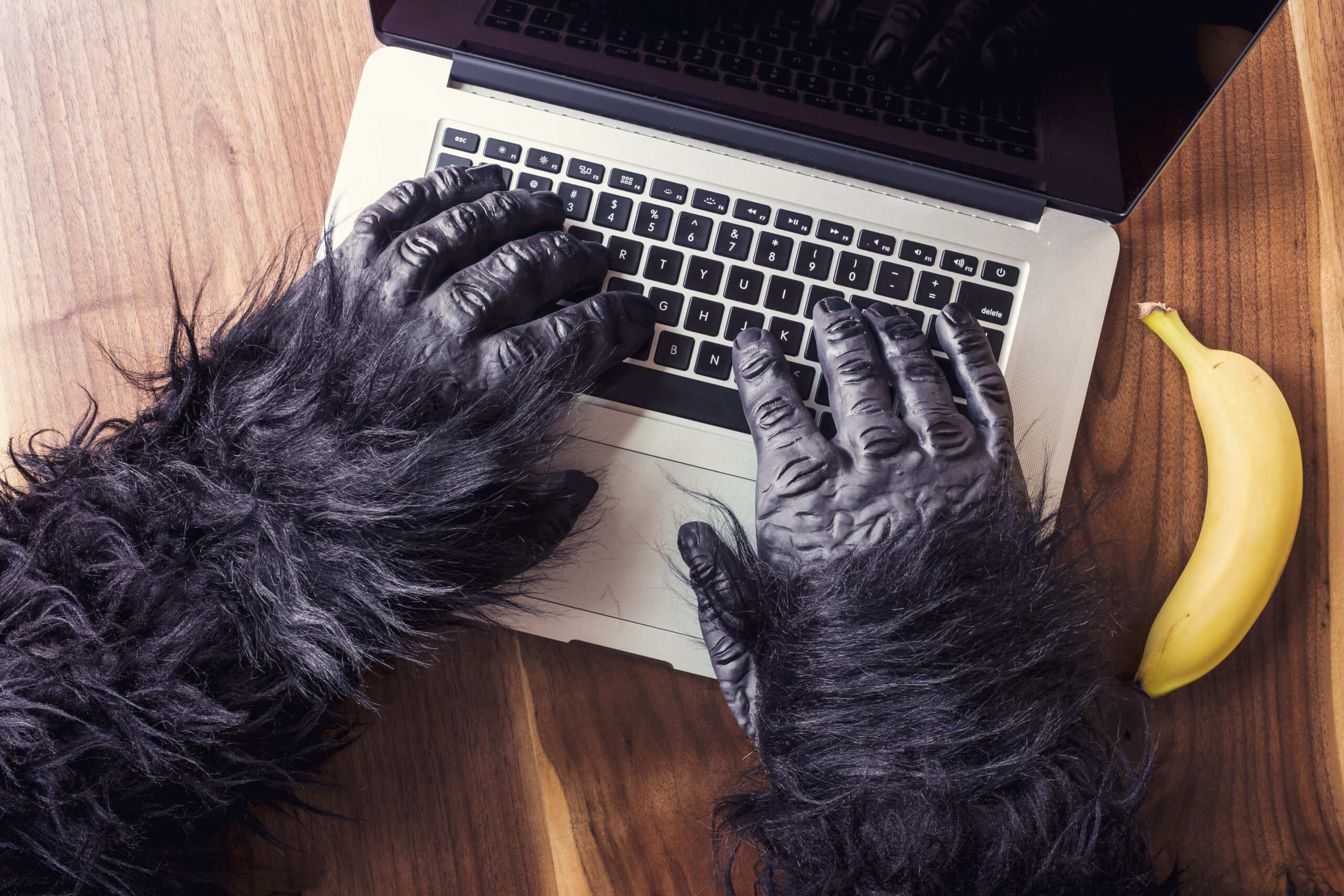Web 3.0