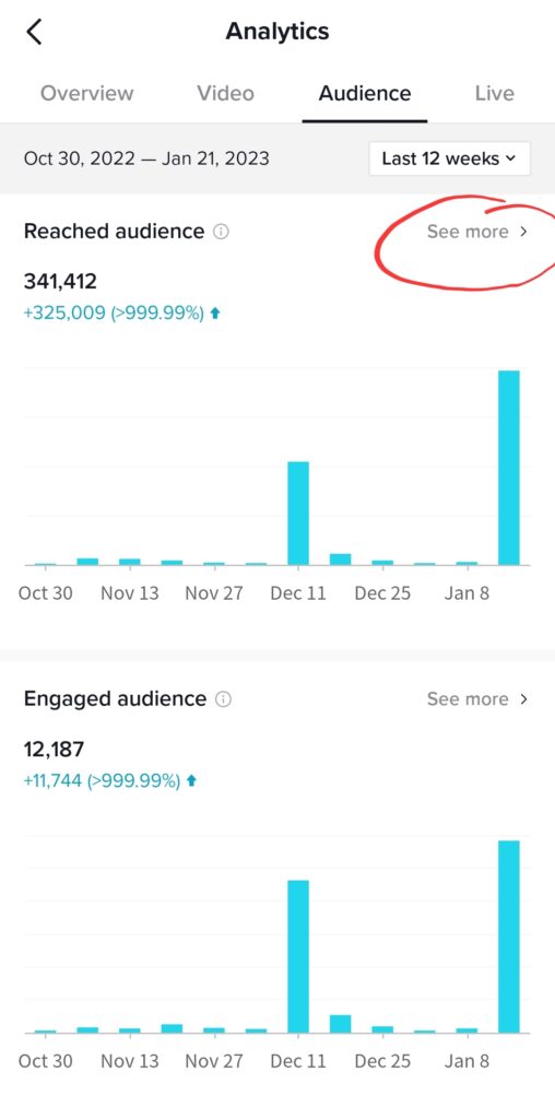 TikTok Agency Adelaide